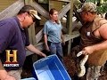 Exotic Pets and Snake Encounters