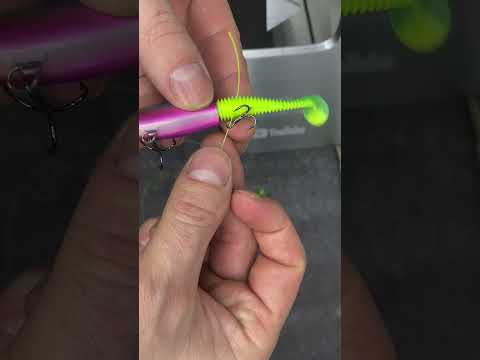 Leurre souple ou pas? #leurresouple #fishingvideo #fishing