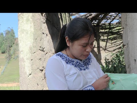 ESTOY EMBARAZADA? | NANCY RISOL