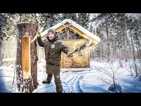 Off-Grid Cabin & Building a House for Wild Bees. Repair of an old LOG CABIN