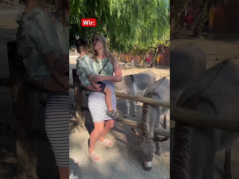 In der Ruhe liegt die Kraft 🤞#zoo #ausflug #familie #comedy