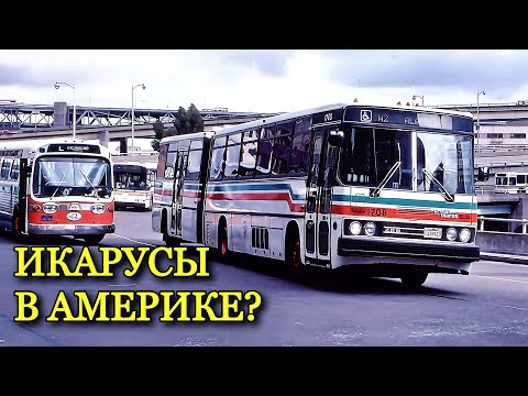 Вся правда об американских Икарусах. Были такими же, как в СССР?
