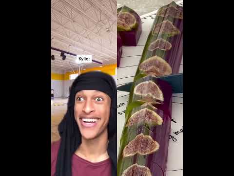 #Pov #funny #thirdgrade #school #kids #classroom