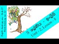 Tree Care and Characteristics Assessment