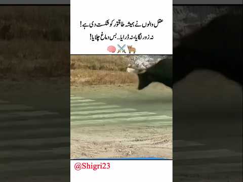 عقل والوں نے ہمیشہ طاقتور کو شکست دی ہے!