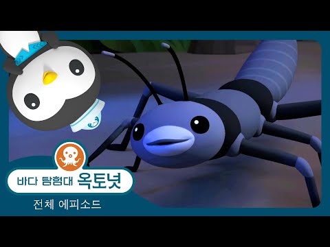 바다 탐험대 옥토넛 - 🌴 신비의 대벌레 🦞 - 모음집