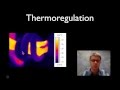 Heat Transfer and Thermoregulation Concepts