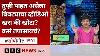 वाघ, बिबट्याचा व्हायरल व्हीडिओ खरा की खोटा? कसं तपासाल? | BBC News Marathi