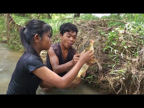 Skills catch Big fish in the river for food of survival, Big egg fish cooking tasty for lunch