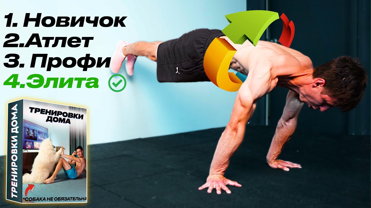 Круговая тренировка для дома. Уровень - элита