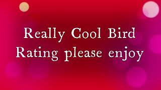 Epic Bird Rating
