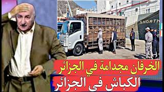 تبون ترك الشعب يعاني لوحده وهو مقابل كل ما في المغرب أصبحوا يعيشو حياتنا
