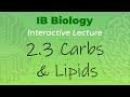 Exploring Carbohydrates and Lipids in IB Biology