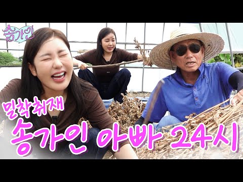 [가인이랑 아빠랑] 송가인 비켜! 행사 후 뻗은 막내딸 대신 송가인 아버지👨🏻‍🌾 출동! 진도 터줏대감 송버지의 삶 최초공개