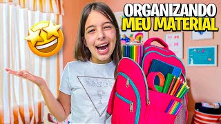 ORGANIZANDO MEU MATERIAL ESCOLAR PRA VOLTAR AS AULAS!!! LAURINHA ACABOU AS FÉRIAS