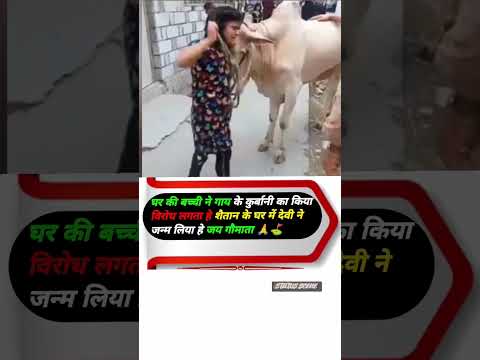 "एक बच्ची ने दिखाई गौमाता के लिए सच्ची श्रद्धा 🙏❤️ #SaveCow  #CowProtection  #SanatanDharma  #shorts