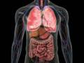 Understanding Anaphylaxis and Allergic Reactions
