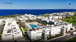 February 2026, Construction Update Video