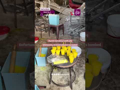 شو يعني استسلام ؟ .. شعب الجبارين