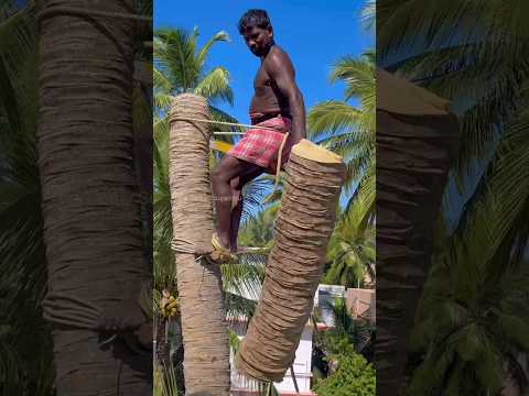 8610339350 Tree Cutter Suyambu #shorts kaniyakumari special tree cutter