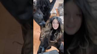 #vlog #comingsoon #english #viral #trending #vacation #netherlands