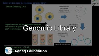 Genomic Library