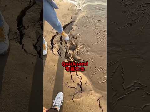 Quicksand。#都市伝説 #オカルト #ミステリー