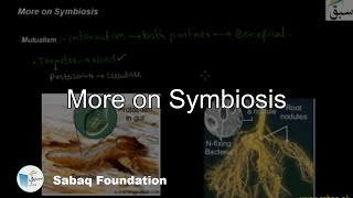 More on Symbiosis