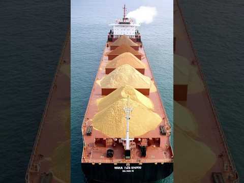 Transporting soybeans