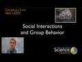 Social Behavior and Group Dynamics