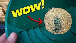 This Creek Has A LOT of Gold In It!