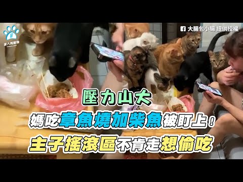 【媽吃章魚燒加柴魚被盯上！ 主子搖滾區不肯走想偷吃】｜FB / 大腸包小腸