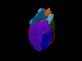Neuroscience of the Heart