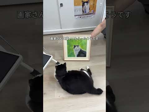 会社猫ふくの日常😸素敵な絵のプレゼントをいただきました✨しかし、チュールポンコツを見逃すことは出来ません🖐️#株式会社日章#会社猫#トラック