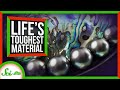 Understanding Nacre: The Science Behind Mother-of-Pearl