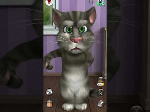 Talking Tom Cat #shorts #funny #viral #talkingtom #shortsfeed #ytshorts #cat