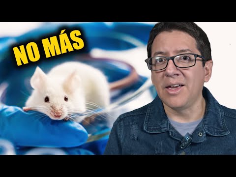 El Fin de la Experimentación Animal