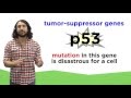 Cancer Biology Concepts and Mechanisms