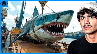 E SE O MEGALODON NUNCA PARASSE DE EVOLUIR?