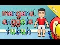 Understanding Body Movements and Functions