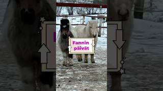 Fannin päivät.