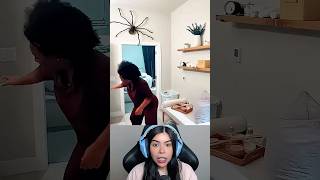 Sustos com Aranhas
