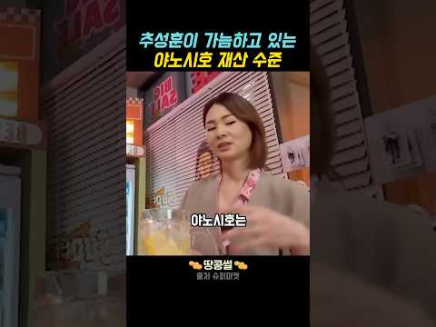 추성훈이 가늠하고 있는 야노시호 재산 수준