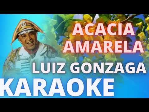 ACACIA AMARELA – LUIZ GONZAGA – KARAOKE DEMONSTRAÇÃO