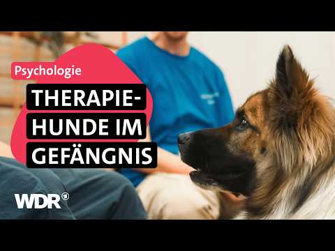 Tiergestützte Therapie: Wie Hunde Häftlingen neuen Mut schenken | Frau TV | WDR