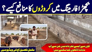Kroron Ka Munafa Cattle Farming Se | Bachron Ka Farm Kaise Saaf Rakha Jata Hai?