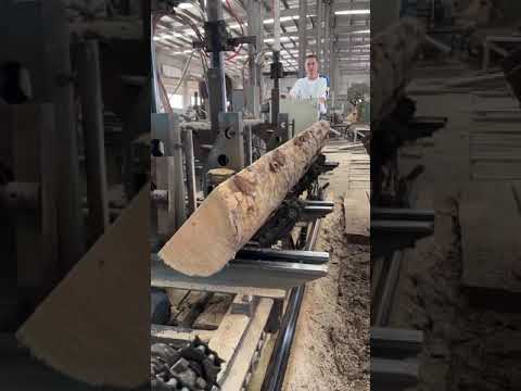 Wood Processing Factory | Good machinery makes work easy and comfortable.