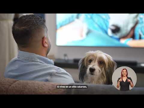 Cuida de tus mascotas con SmartThings