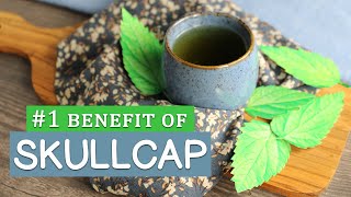 #1 Benefit of SKULLCAP Herb