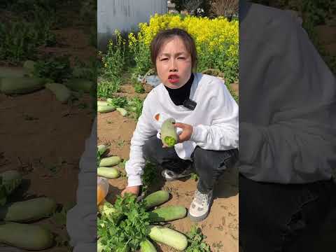 Nature -Fresh Fruit video of Industry spe207 #fruit #shorts #farming